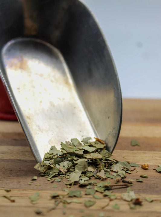 Witch Hazel Bulk Herbs