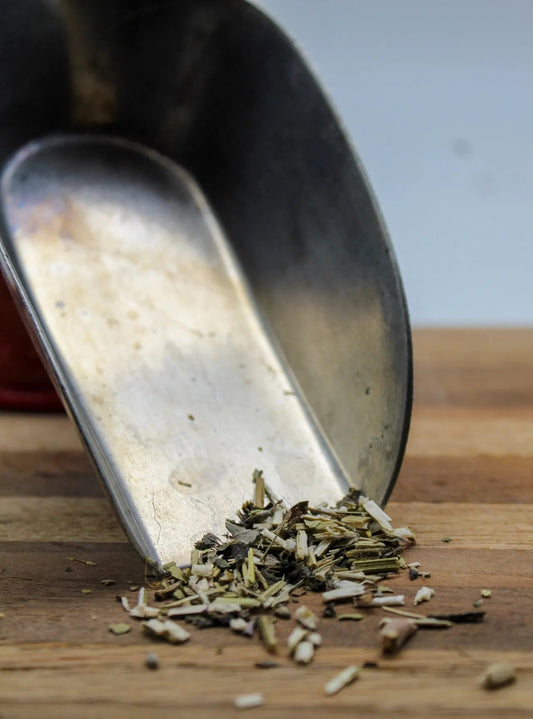 Wood Betony Bulk Herbs